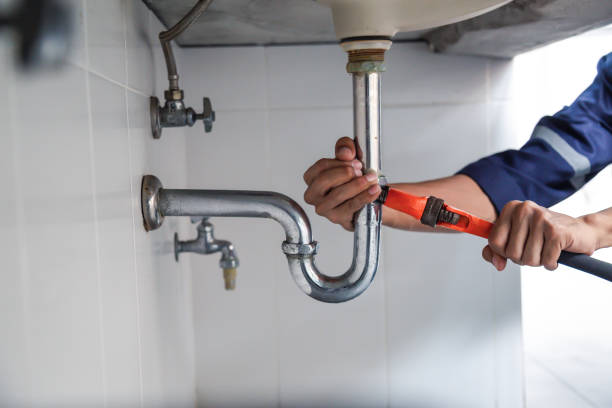 Best Plumbing Inspection Services  in Ellenton, FL