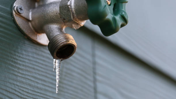 Best Plumbing Repair Near Me  in Ellenton, FL